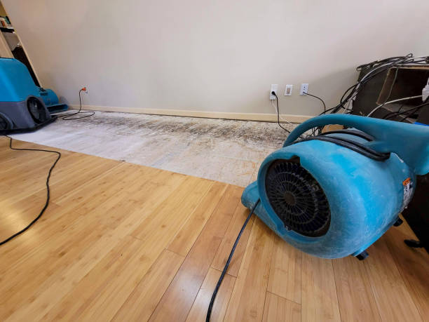 Professional Burst Pipe Water Damage technician working in Eldon, MO